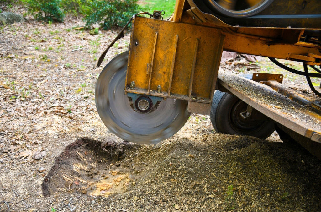 Using A Stump Grinder For Tree Stump Removal